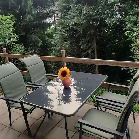 Bergfreiheit *